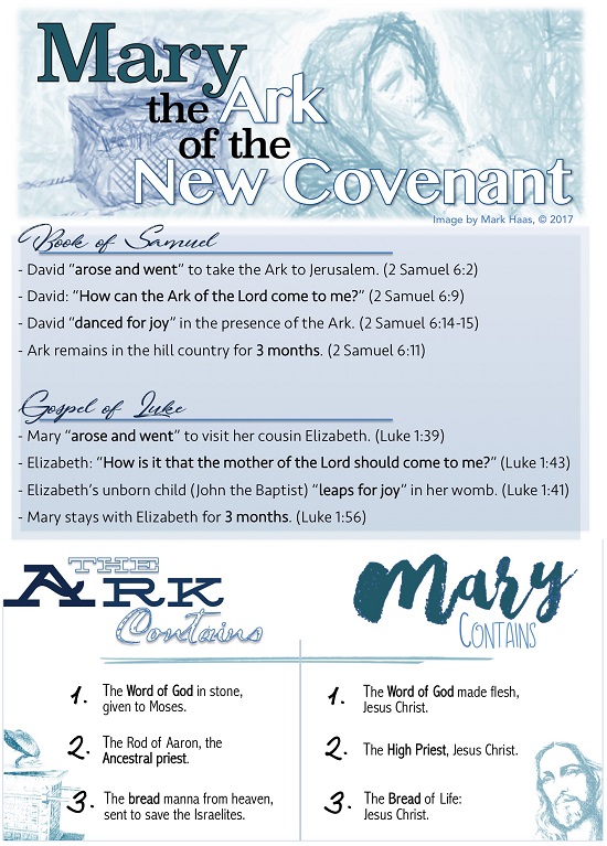 Mary, Ark of New Covenant The Blessed Virgin Mary is the Ark of the New Covenant because she carried Jesus Christ, The New Covenant, in her womb (ark).