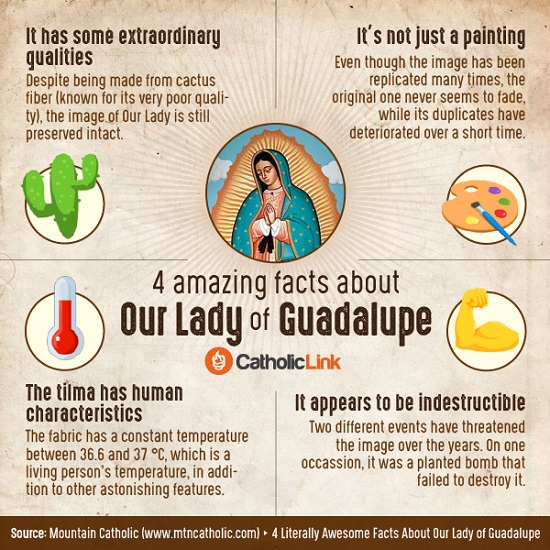 Tilma of Guadalupe This infographic identifies four amazing facts about the supernatural Tilma of Our Lady of Guadalupe.