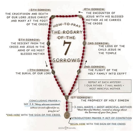 Seven Sorrows of Mary Meditating on the Seven Sorrows of Mary helps us, through the eyes of Mary, to see and understand the sufferings of Jesus Christ.